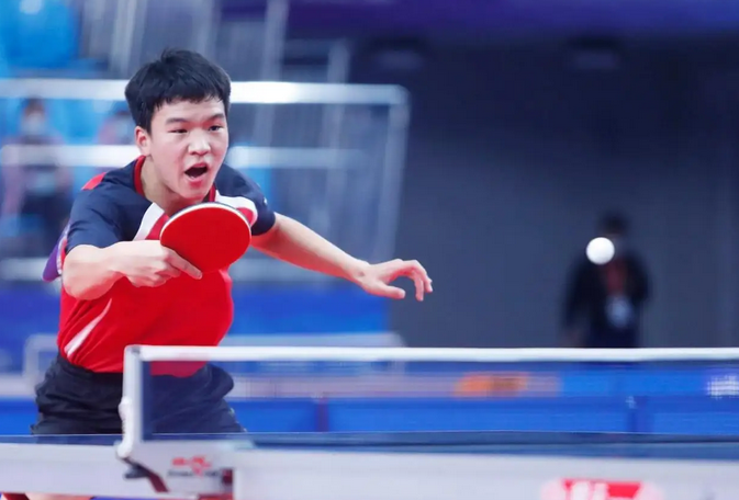 提供了丰富 提供了丰富