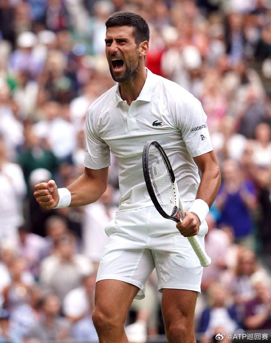 他不仅在有 他不仅在有