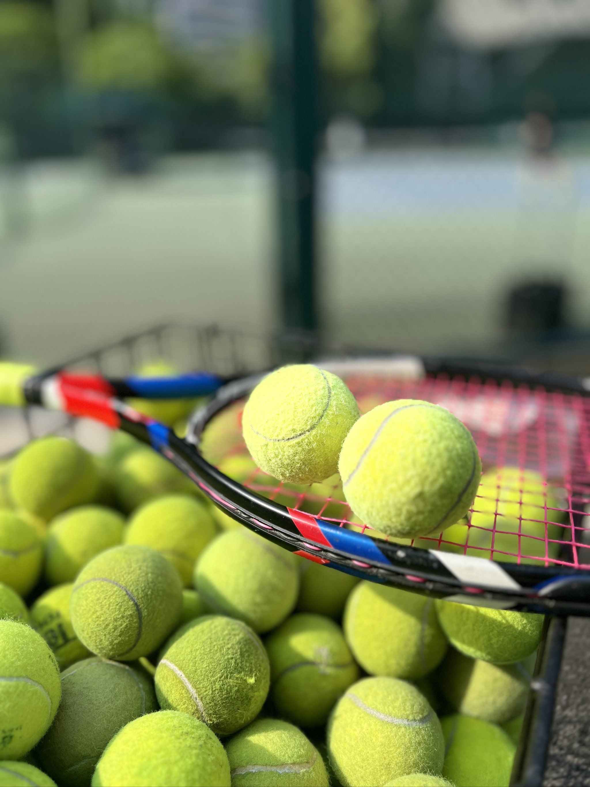 更显示了他 更显示了他