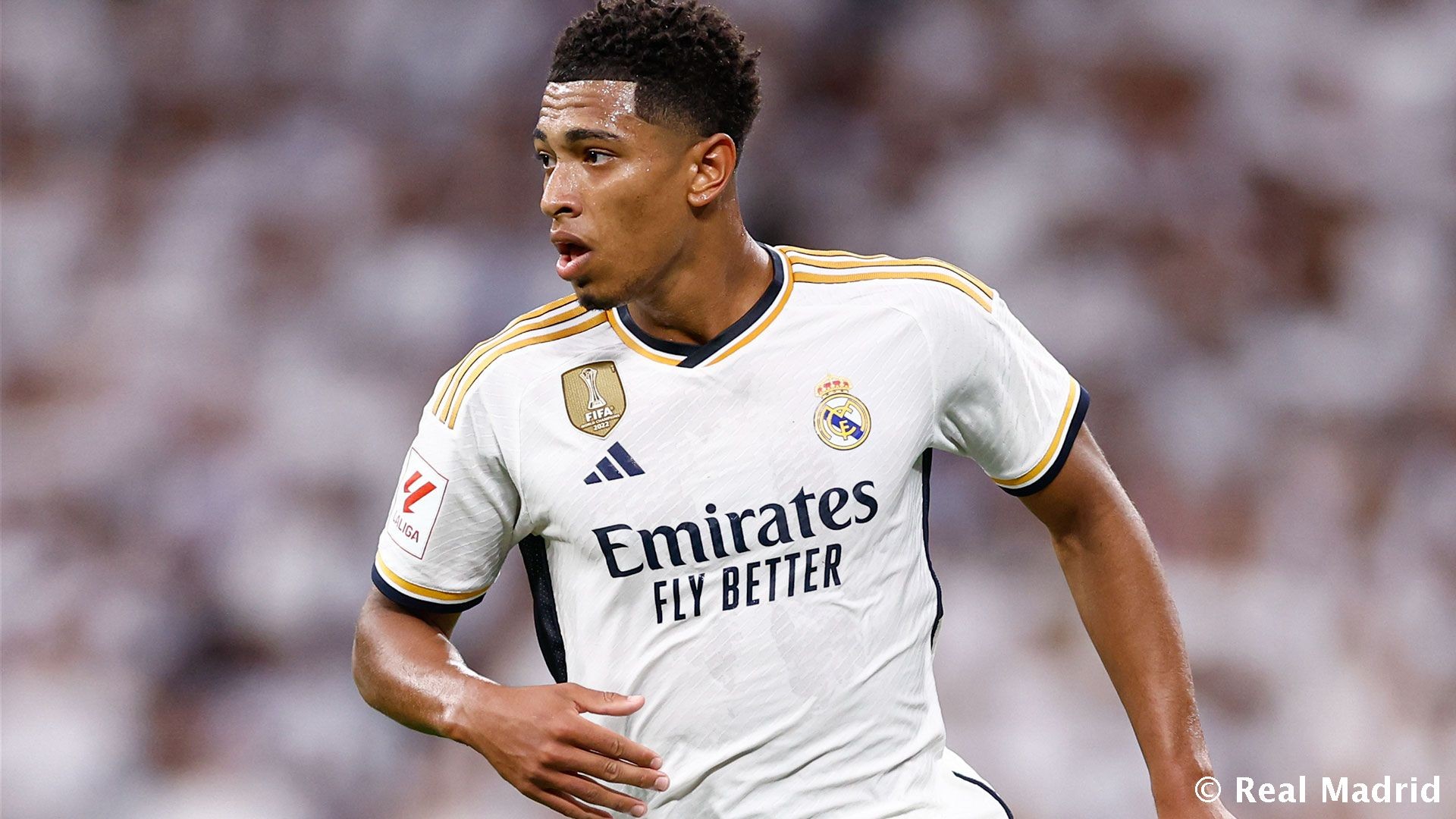 德甲积分榜 德甲积分榜